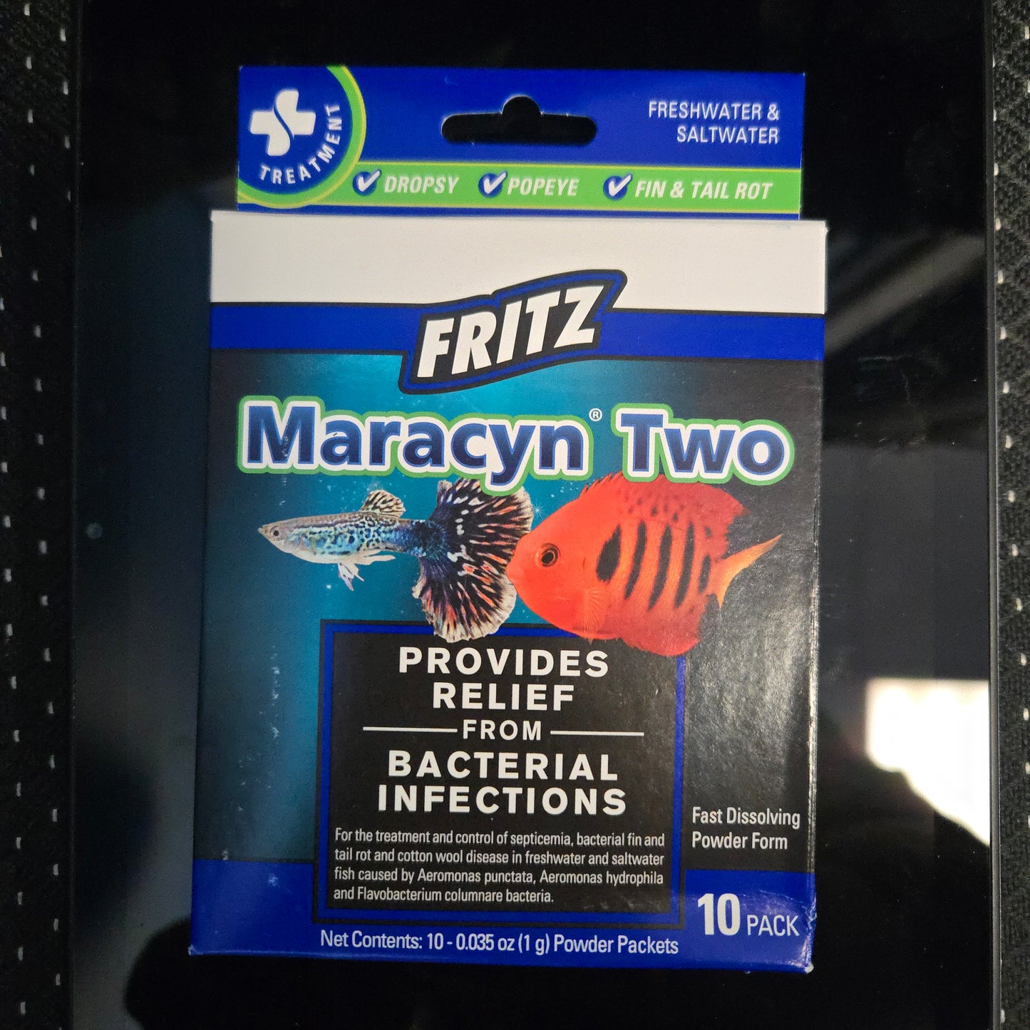 Fritz Maracyn Two