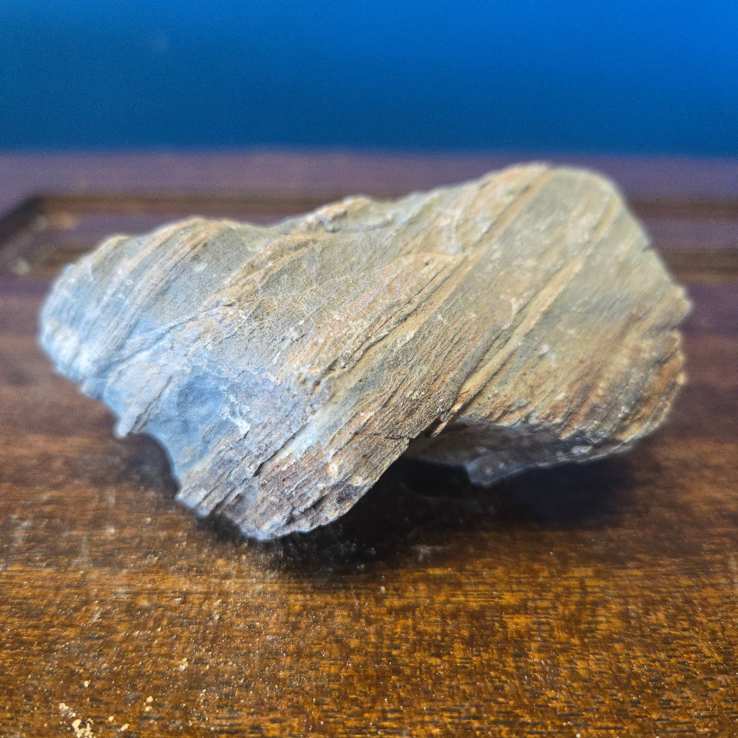 Bulk Substrate