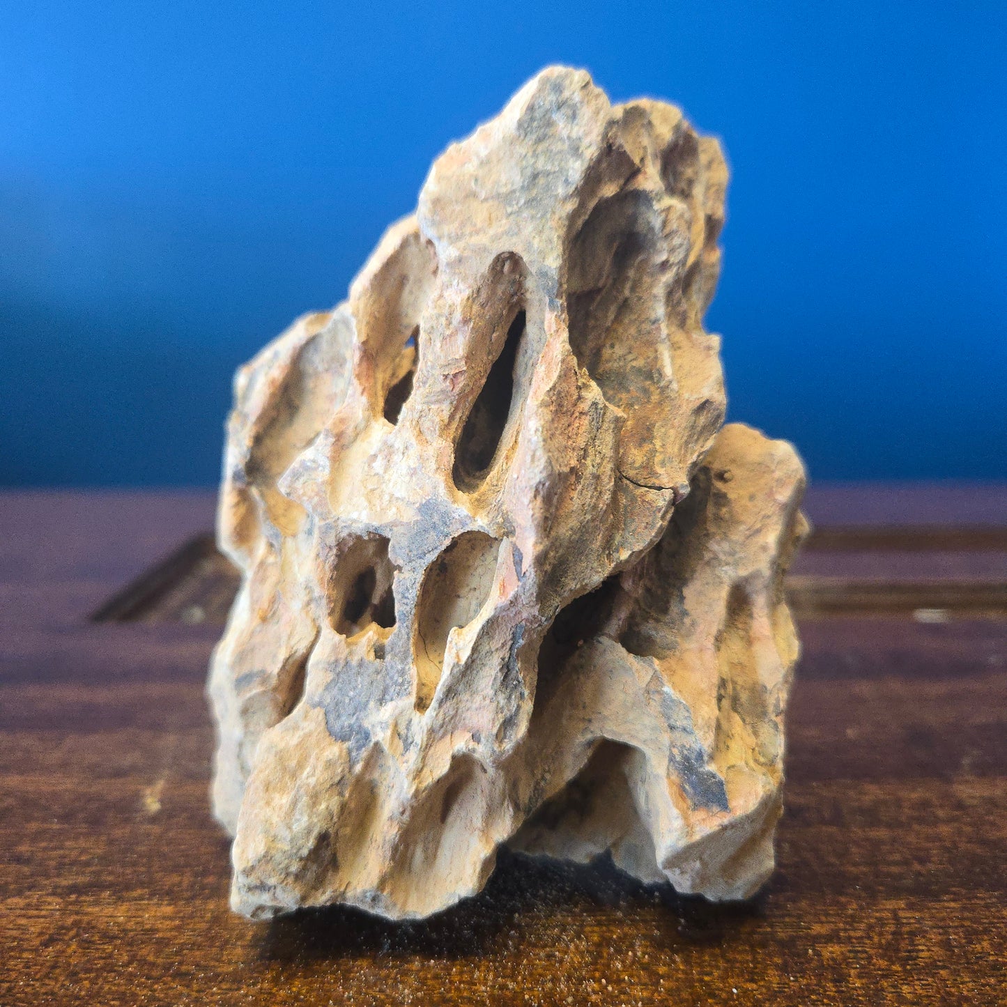 Bulk Substrate