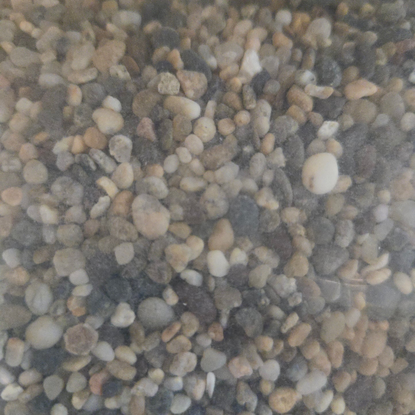 Bulk Substrate