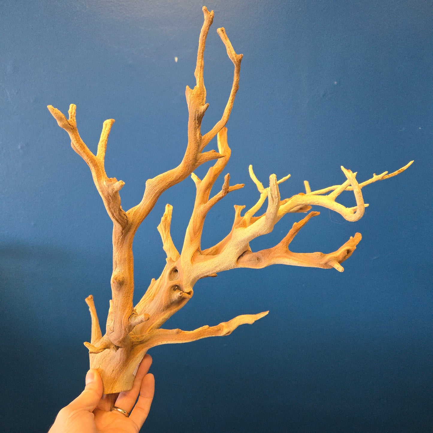 Wood